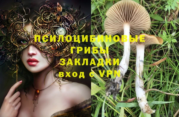 ПСИЛОЦИБИНОВЫЕ ГРИБЫ Богородицк