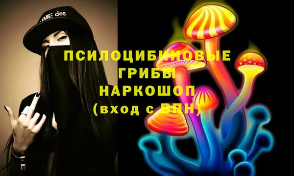 PSILOCYBIN Беломорск