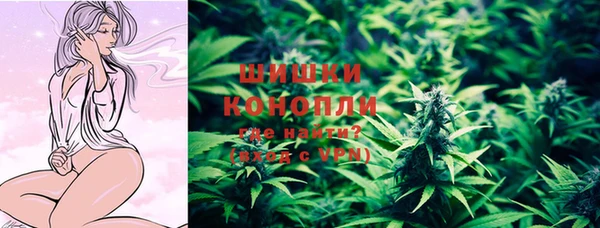 PSILOCYBIN Беломорск