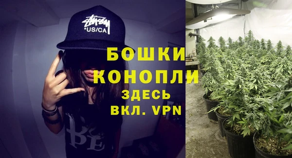 ПСИЛОЦИБИНОВЫЕ ГРИБЫ Богородицк