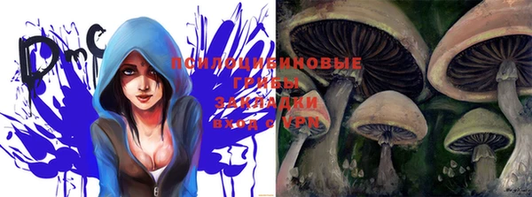 PSILOCYBIN Белокуриха